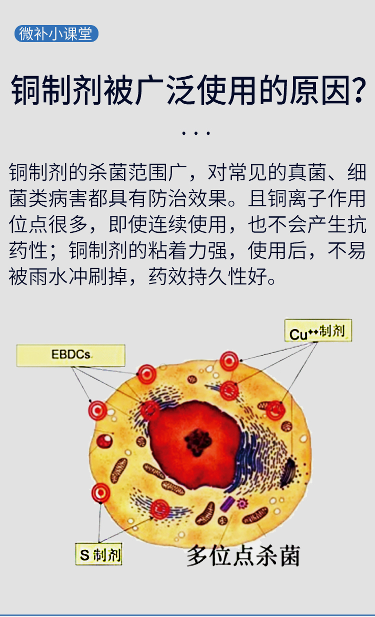 微補(bǔ)9966有機(jī)銅_04.jpg