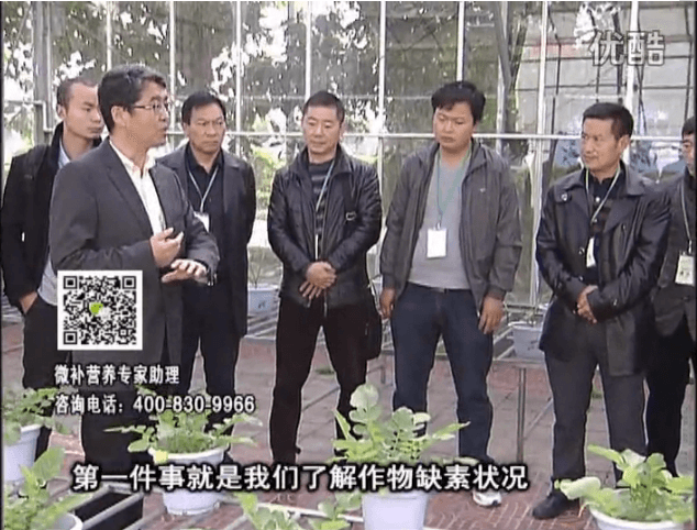 20160418珠江臺搖錢樹：和重慶種植業(yè)主走進微補，探秘微補生產(chǎn)研發(fā)技術(shù)